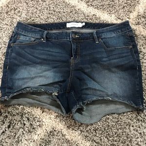 Torrid shorts